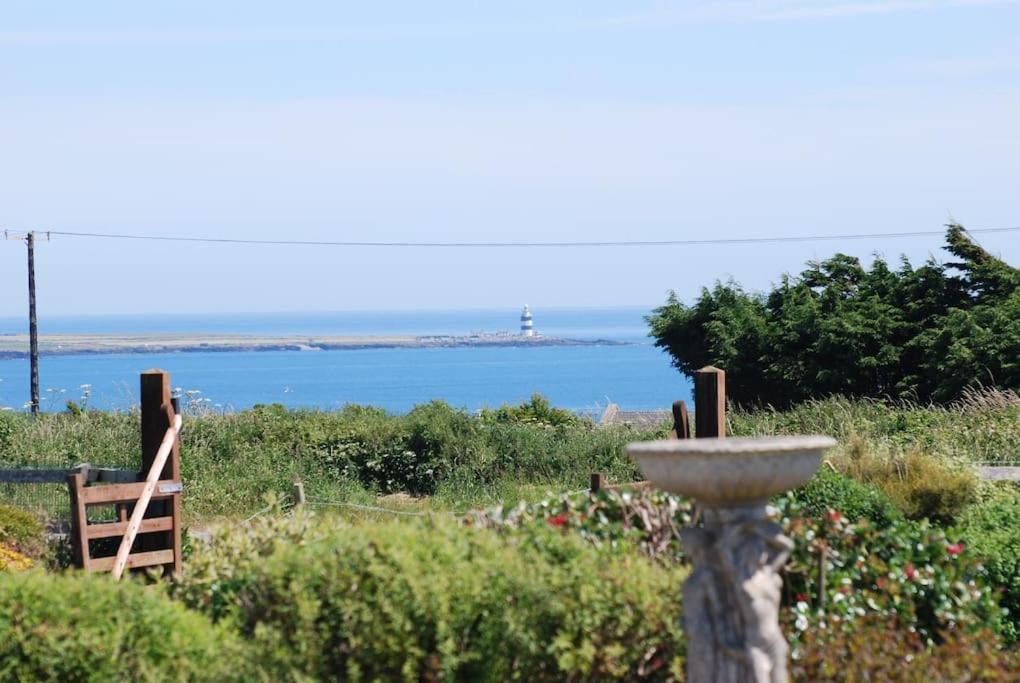Beautiful One Bed With Stunning Sea View Leilighet Waterford Eksteriør bilde