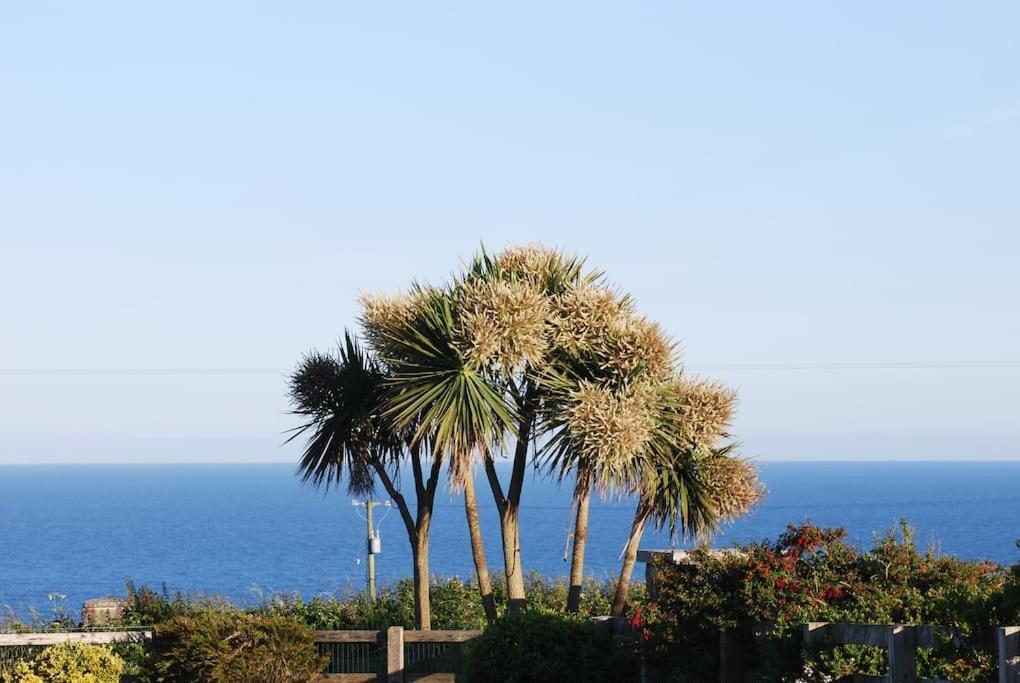 Beautiful One Bed With Stunning Sea View Leilighet Waterford Eksteriør bilde